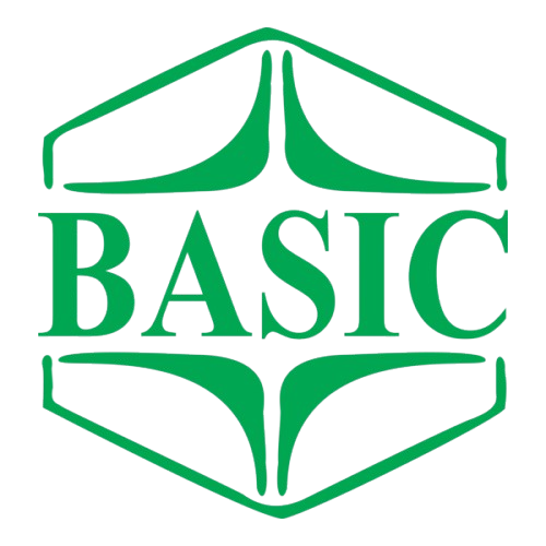 Basic Bank